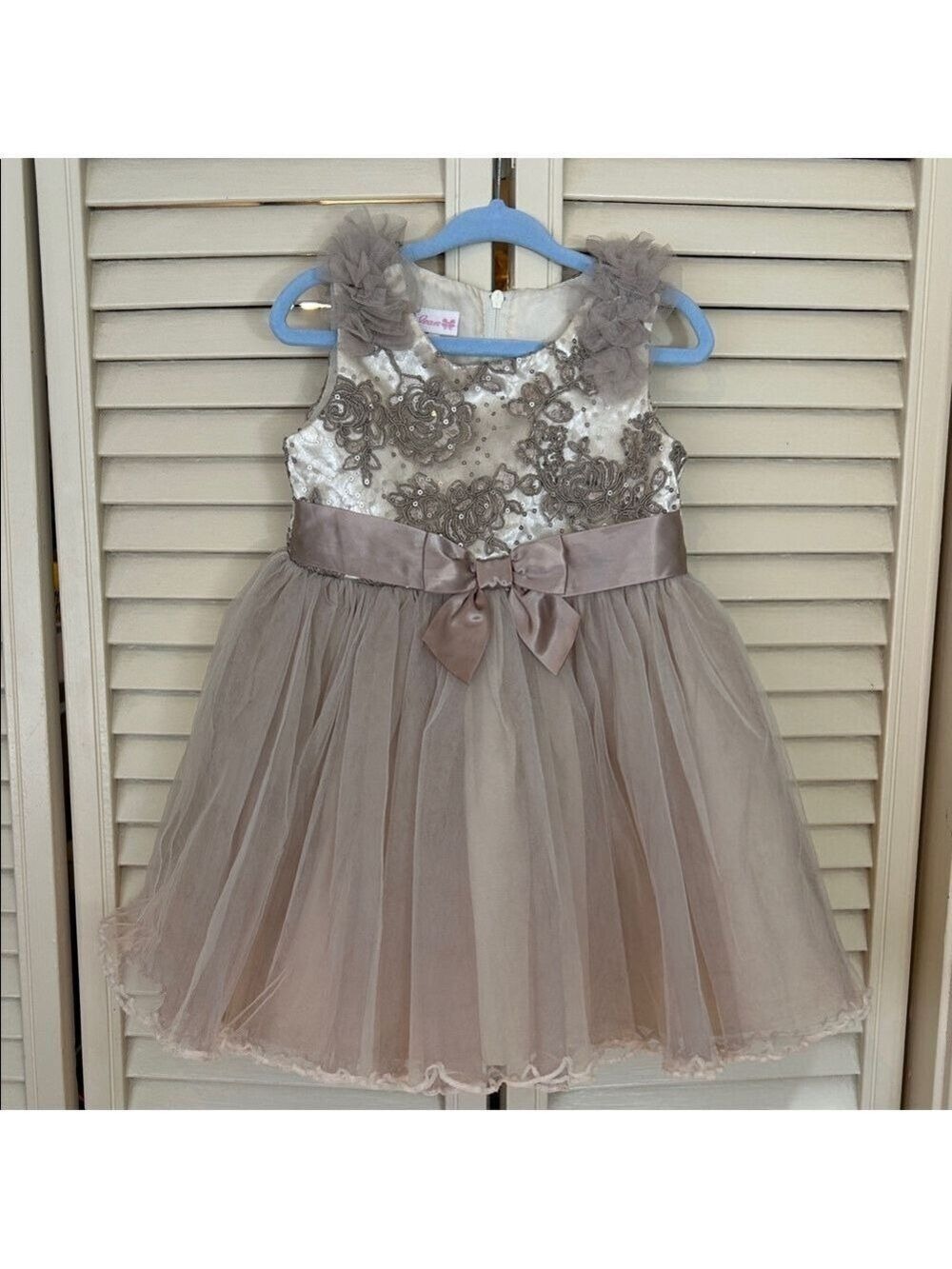 Bonnie Jean Taupe Ivory Embroidered Tulle Dress 2T